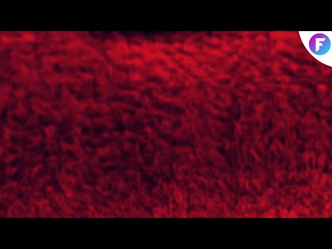 ‌Red Motion Background Loops Video HD | Video Background | Femo Footage